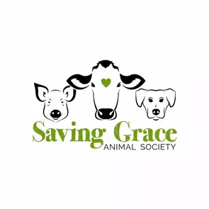 Saving Grace Animal Society