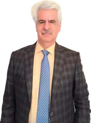 Reza Ahmadi, Saskatoon, Real Estate Agent