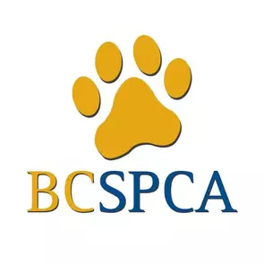 The British Columbia Society for the Prevention of Cruelty to Animals
