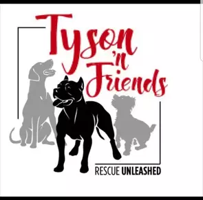 Tyson N Friends